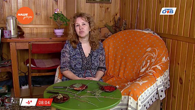 Знахарь - о том, как лечить запоры