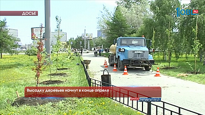 Высадку деревьев начнут в конце апреля