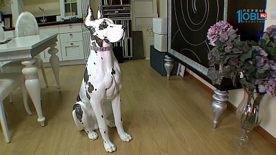 Интерьер из прошлого