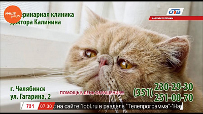 Наше УТРО на ОТВ – зоосоветы с ветеринарным врачом Николаем Калининым.