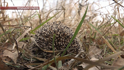 Пожароопасный сезон начался в Челябинской области