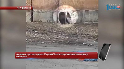 Администратор цирка Сергей Хазов о гуляющем по городу медведе