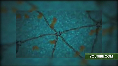 Самолечение как привычка