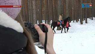  Южноуральцам предлагают сделать фотосессию с животными
