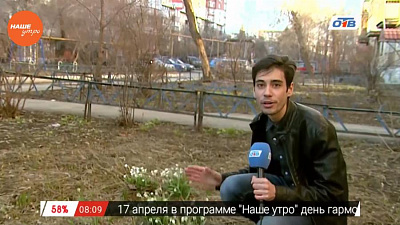 Наше УТРО на ОТВ – включение про подснежники
