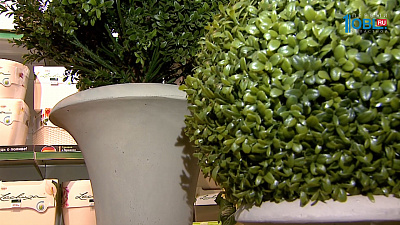 Флора Европа