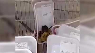 Сухофрукты с живыми мышами продают в магазине Южноуральска 