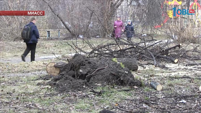 Сильный ветер сносит крыши и деревья в Челябинской области 