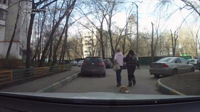 Водитель снял на видео, как две нетрезвые женщины выгуливают мертвую собаку 