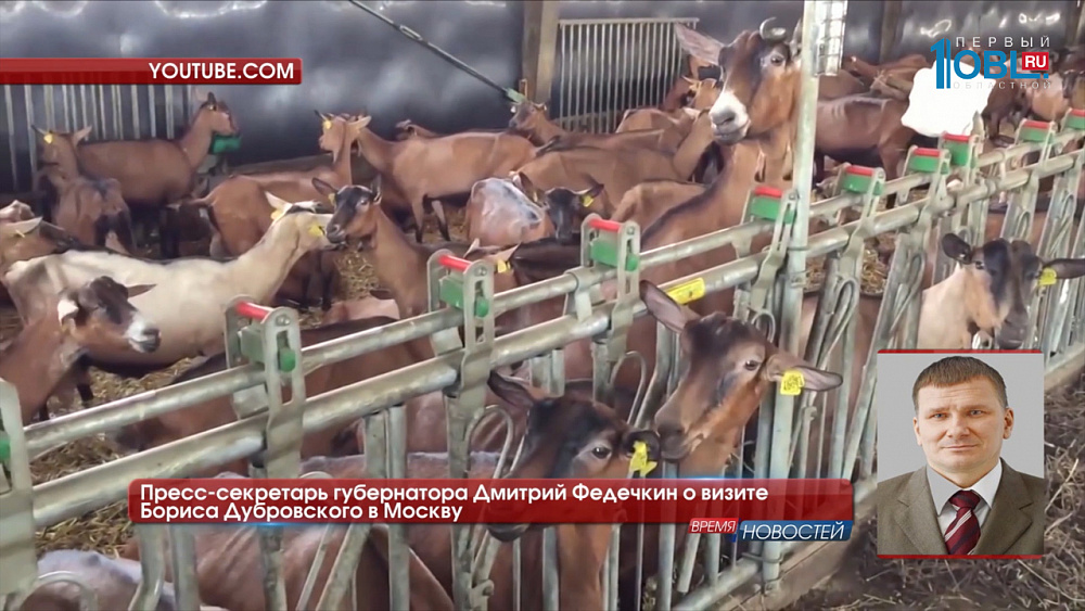 Бизнес по-французски