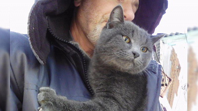 Спасение кота с шестиметрового столба в Троицке 