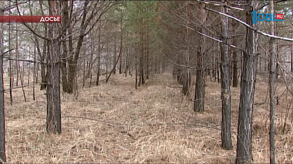 Анатолий Литовченко отчитался о работе в Госдуме 