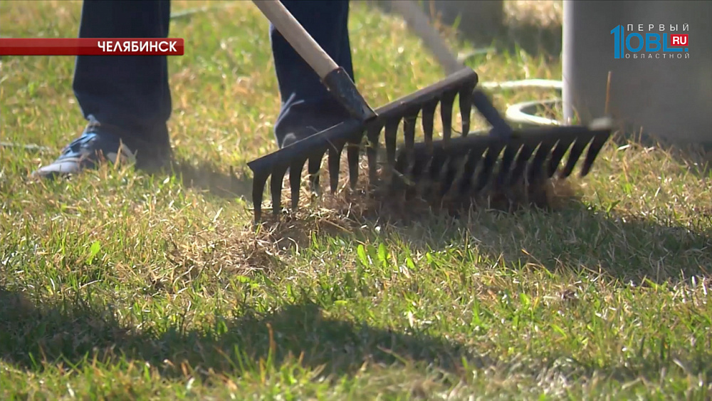 "НОВАТЭК-Челябинск" проводит массовый субботник 