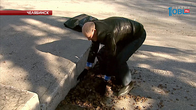 Южноуральцы приняли участие во всероссийском субботнике