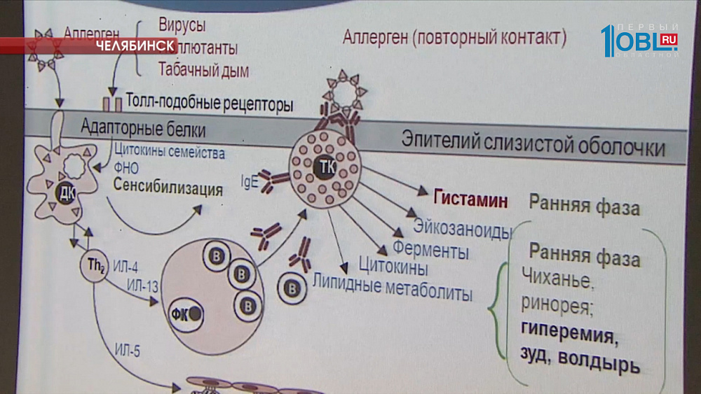 Болезни печени тесно связаны с кожными заболеваниями 