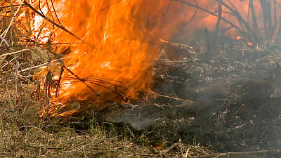 Челябинцы подозревают неизвестного мужчину в поджоге за ТРК «Родник» 