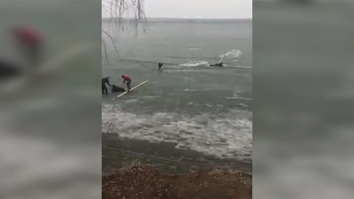 Женщина провалилась под лед спасая свою тонущую собаку 