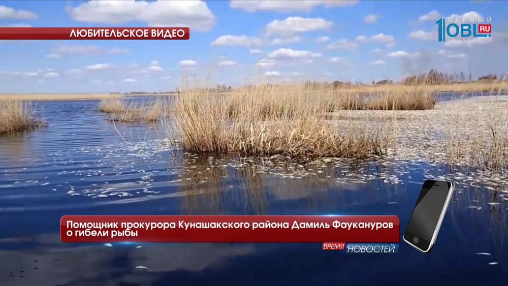 Помощник прокурора Кунашакского района Дамиль Фаукануров о гибели рыбы