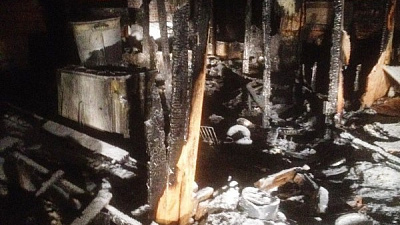 Приют для бездомных животных сгорел в Челябинске из-за взрыва газового баллона