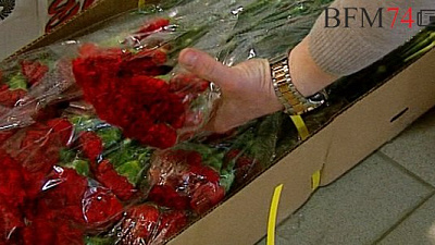 100 тысяч гвоздик из Южной Америки привезли в Челябинскую область ко Дню Победы