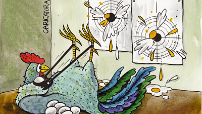 Животноводам с птицеводами изрядно повезло с доходами