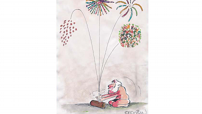 Полицейская проверка добралась до фейерверка