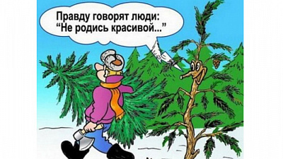 Вот такие елки-палки пригодились бы для свалки