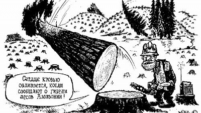 Зелёную зону снесли по закону?