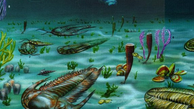 Ученые: только 10 процентов планет могут быть населены