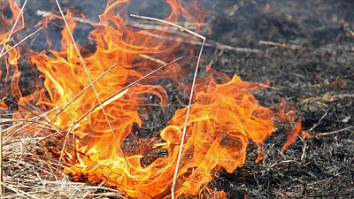 Подготовка к танковому биатлону могла стать причиной крупного пожара на военном полигоне