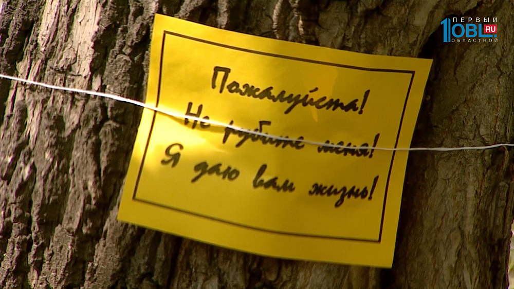 Жители приостановили незаконную вырубку деревьев на улице Молодогвардейцев