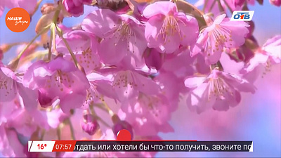 Наше УТРО на ОТВ – день в истории 4 мая 2017 г.