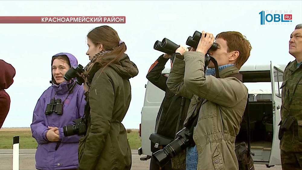 В Донгузловский заказник прилетели краснокнижные птицы