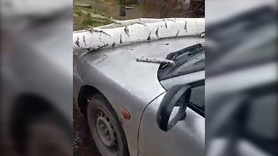 Десятки автомобилей пострадали от сильного ветра в Челябинской области