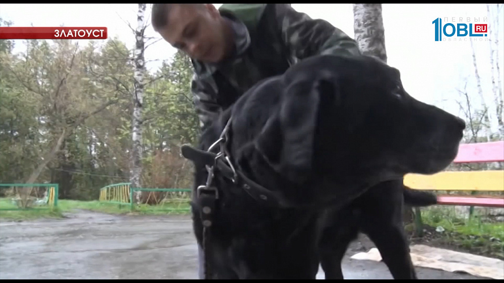 710 жителей региона обратились к медикам из-за укусов клещей