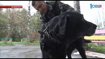 710 жителей региона обратились к медикам из-за укусов клещей