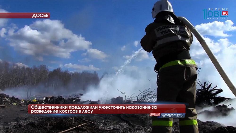 Общественники предложили ужесточить наказание за разведение костров в лесу