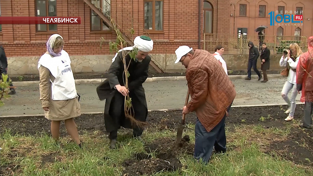Активисты начали высаживать деревья в рамках акции "Зеленая волна"