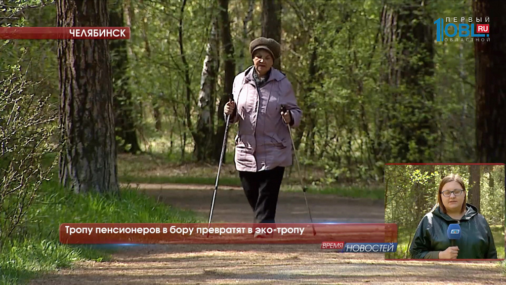 Тропу пенсионеров в бору превратят в эко-тропу