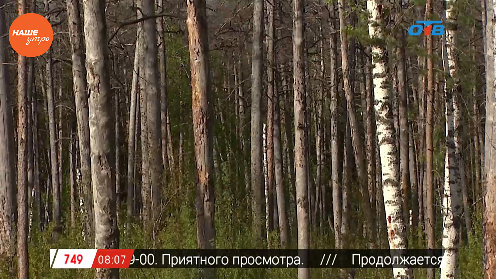 Наше УТРО на ОТВ – сюжет про экологию