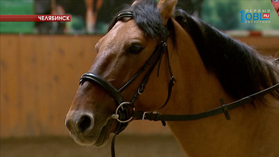 Президент Башкирии подарил Челябинску коня 