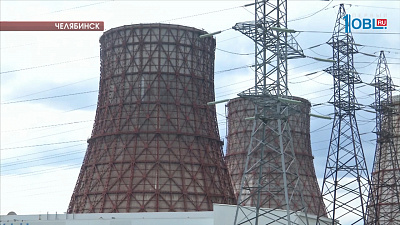 Челябинские садоводы жалуются на загадочный налет на растениях