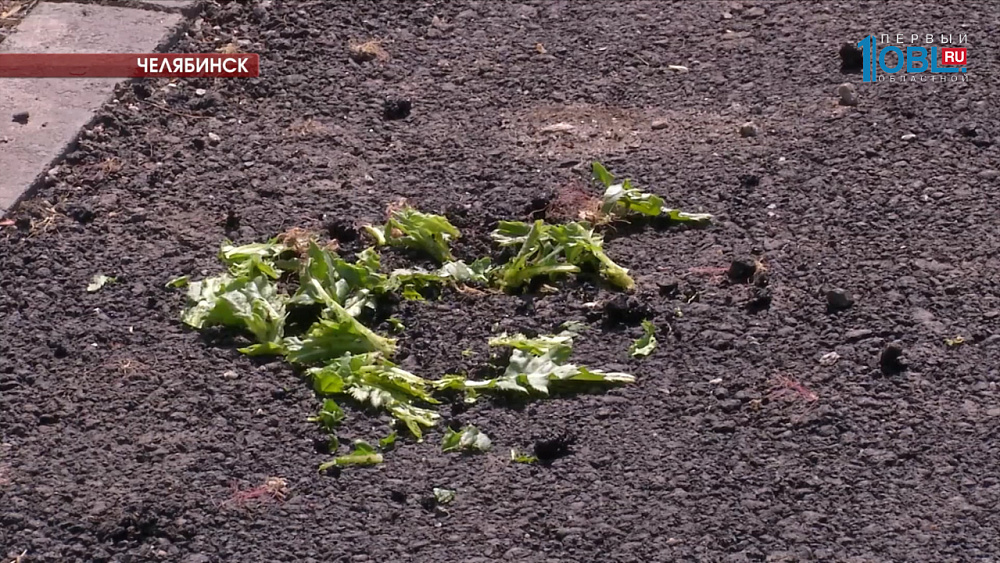   Некачественный ремонт по проекту «Реальные дела» подрядчики будут переделывать за свой счет