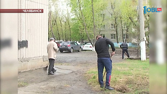 5600 нетрезвых водителей поймали в области с начала года