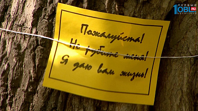 Судьбу сквера на улице Молодогвардейцев решат публичные слушания