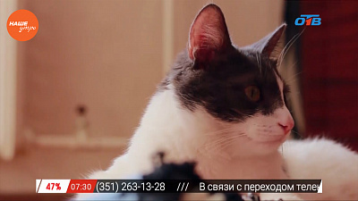 Наше УТРО на ОТВ – зоосоветы с Николаем Калининым