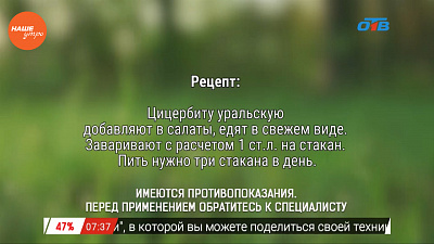 Наше УТРО на ОТВ – травница о профилактике боррелиоза