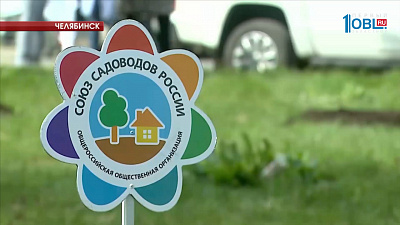 В Курчатовском районе появились кедровые сады