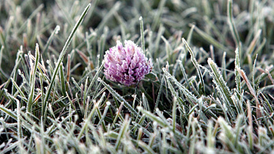 Заморозки до минус 7 ожидаются в Челябинской области в выходные