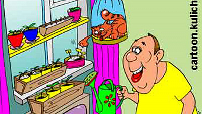 Город, будь готов к высадке цветов!